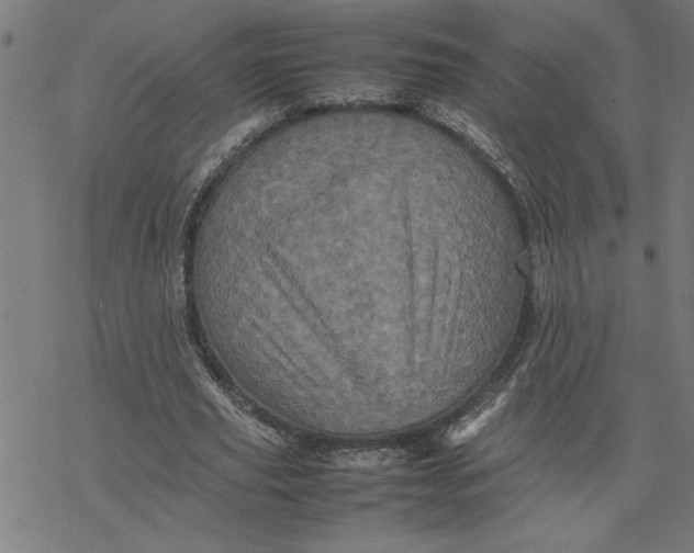 X0000077290629200611101344