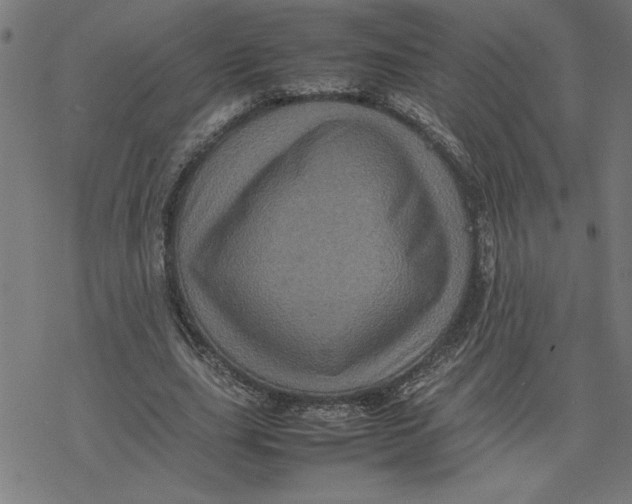 X0000077290631200611101344