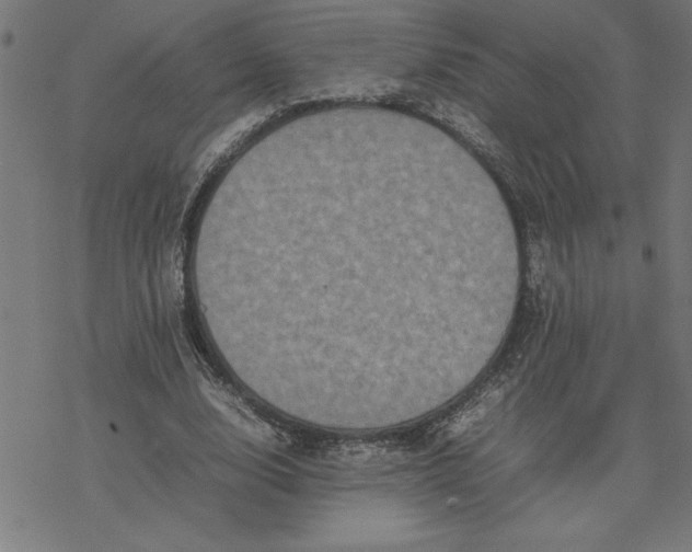 X0000077290632200611101344