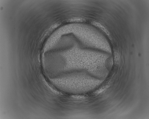 X0000077290633200611101344