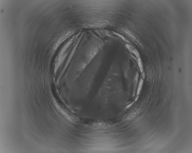 X0000077290634200611101344