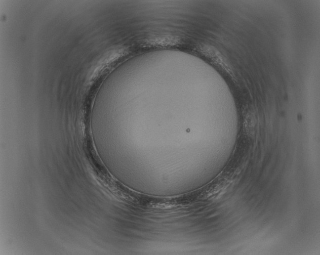 X0000077290635200611101344