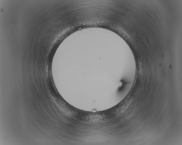 X0000077290636200611101344