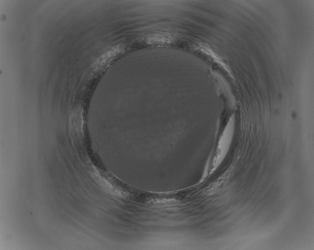 X0000077290637200611101344