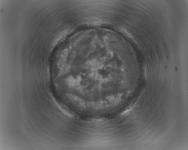 X0000077290638200611101344