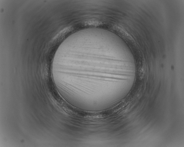 X0000077290639200611101344