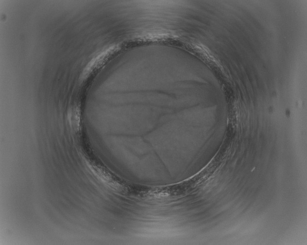 X0000077290640200611101344