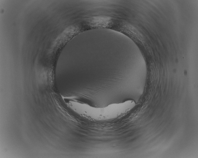 X0000077290641200611101344