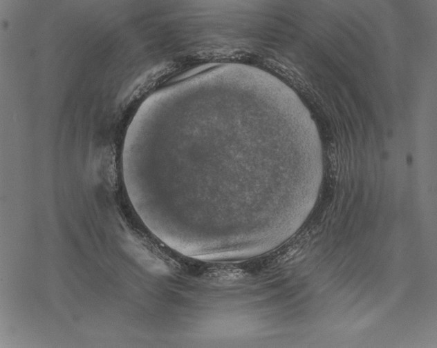 X0000077290642200611101344