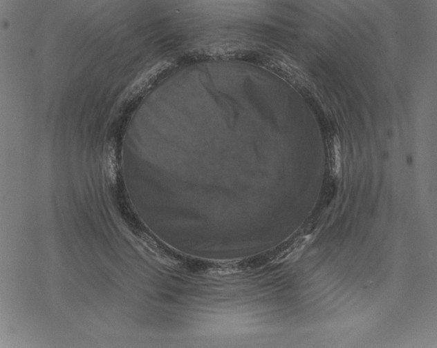 X0000077290644200611101344