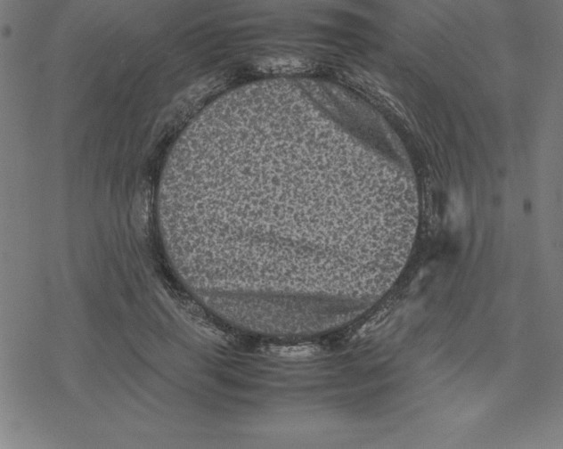 X0000077290645200611101344