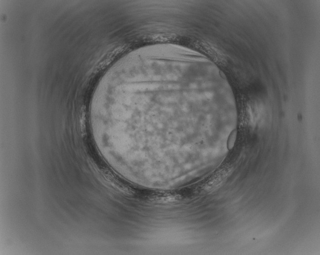 X0000077290646200611101344