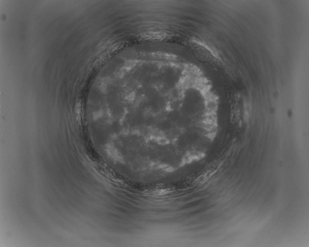 X0000077290647200611101344