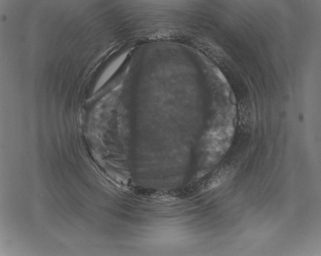 X0000077290648200611101344