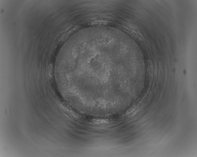 X0000077290649200611101344