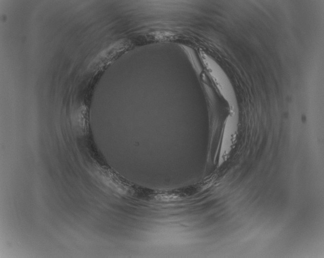 X0000077290650200611101344