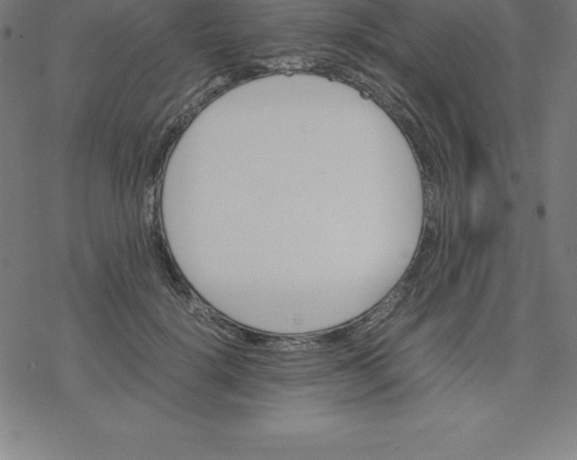 X0000077290652200611101344