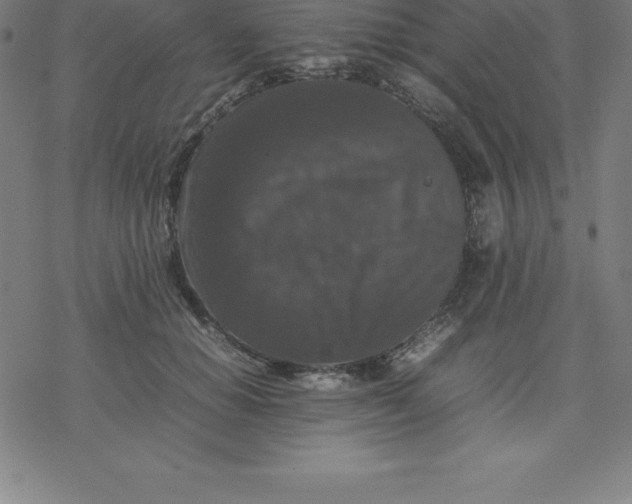 X0000077290654200611101344