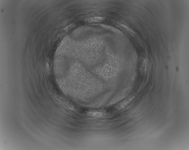 X0000077290655200611101344