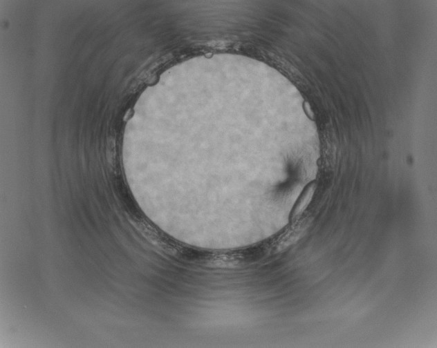 X0000077290656200611101344