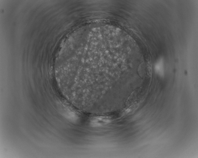 X0000077290657200611101344