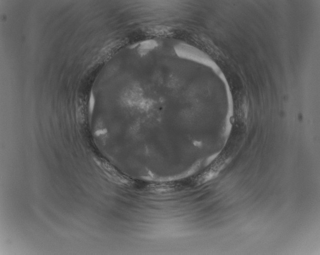 X0000077290658200611101344