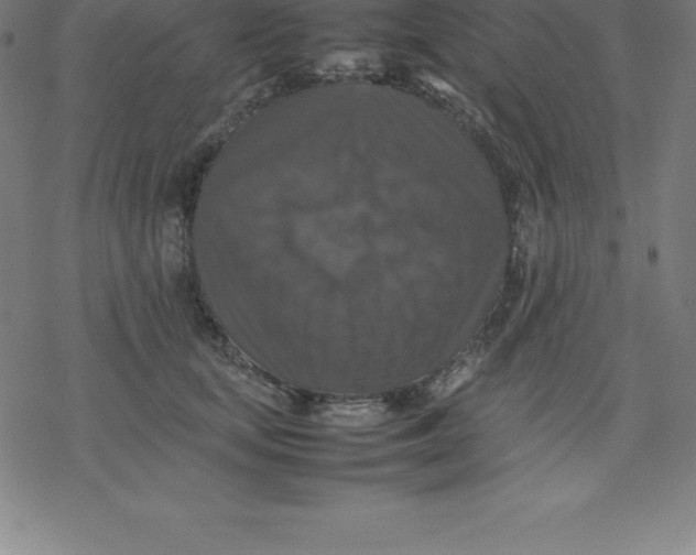 X0000077290659200611101344