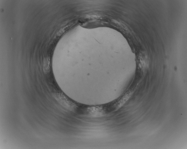 X0000077290660200611101344