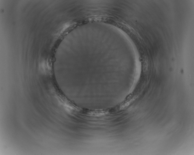 X0000077290661200611101344