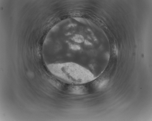 X0000077290663200611101344