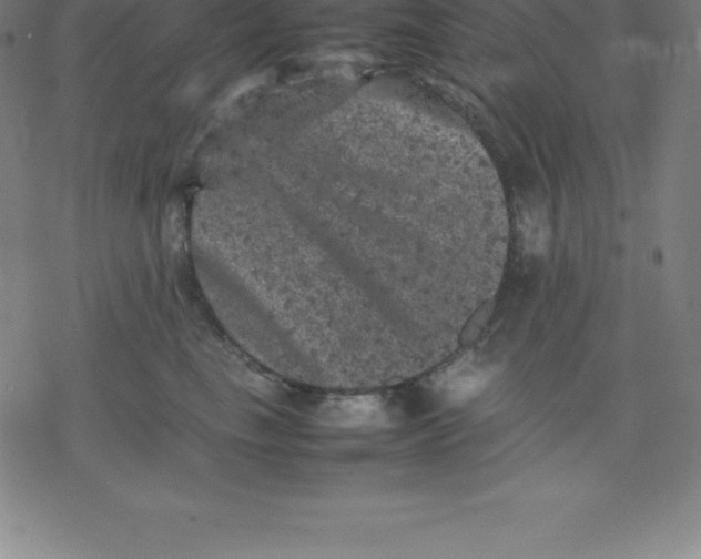 X0000077290665200611101344