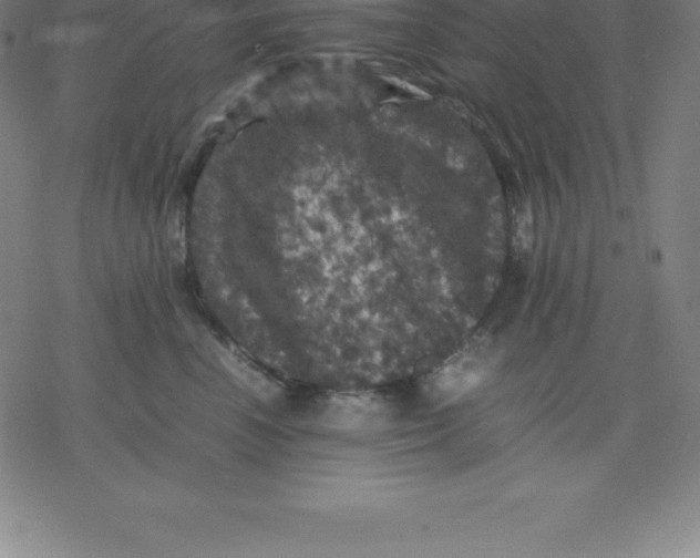 X0000077290666200611101344