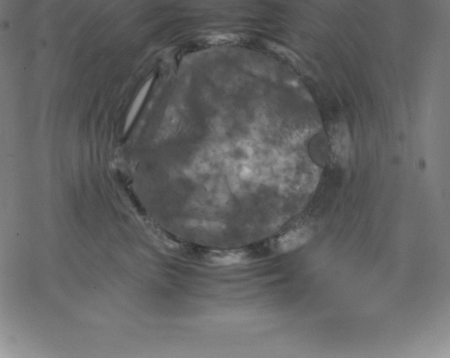 X0000077290667200611101344