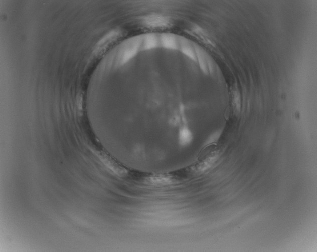 X0000077290668200611101344