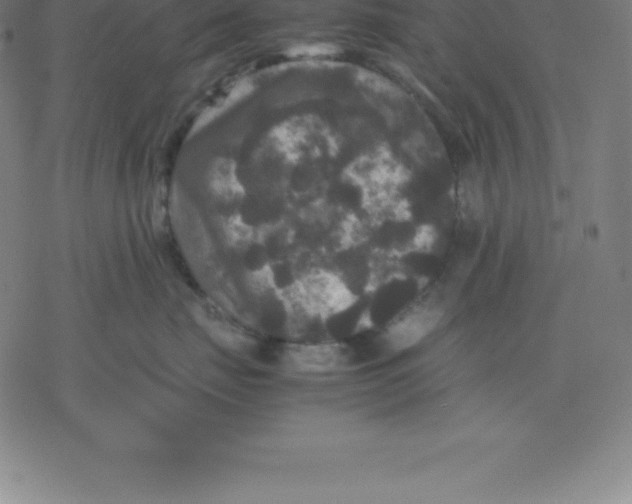 X0000077290671200611101344