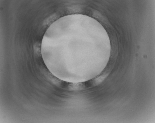 X0000077290672200611101344