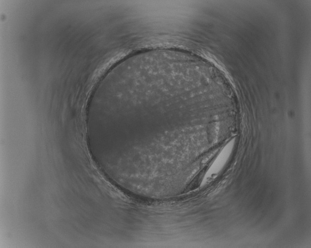 X0000077290673200611101343