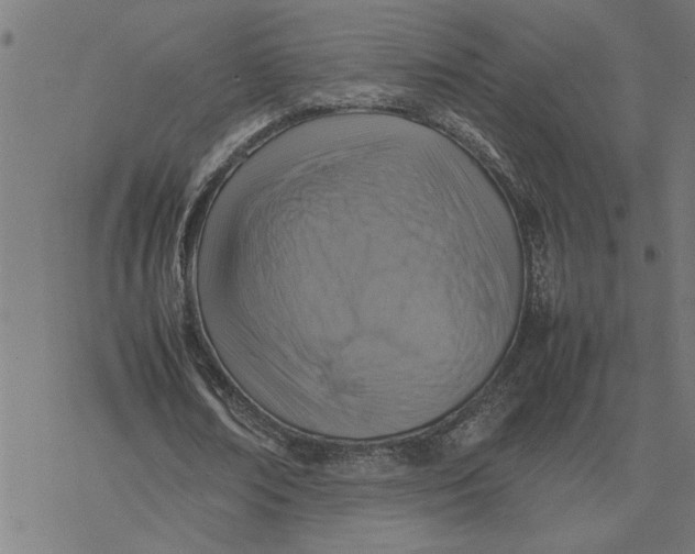 X0000077290674200611101343