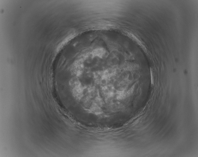 X0000077290675200611101343