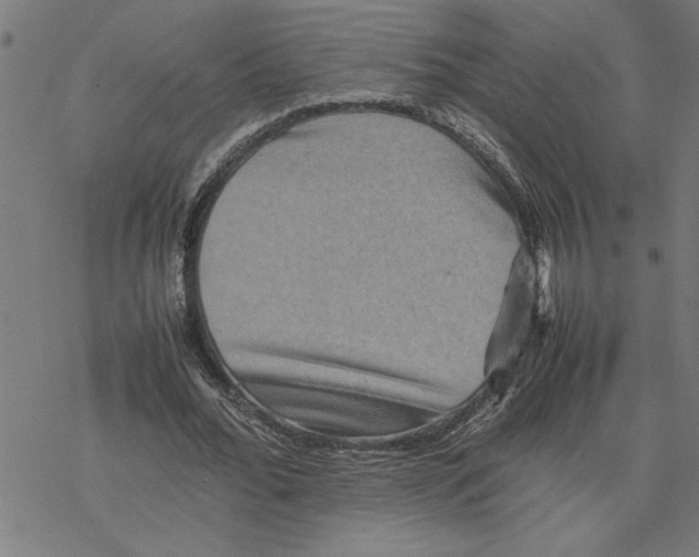 X0000077290676200611101343