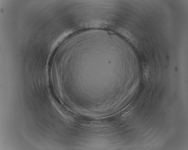 X0000077290678200611101343