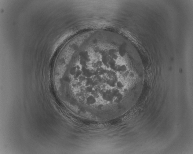 X0000077290679200611101343