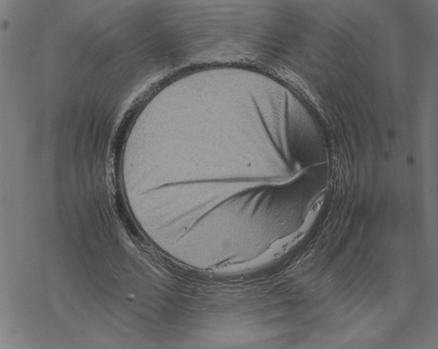 X0000077290680200611101343