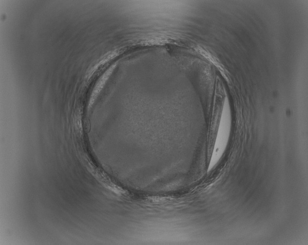 X0000077290681200611101343