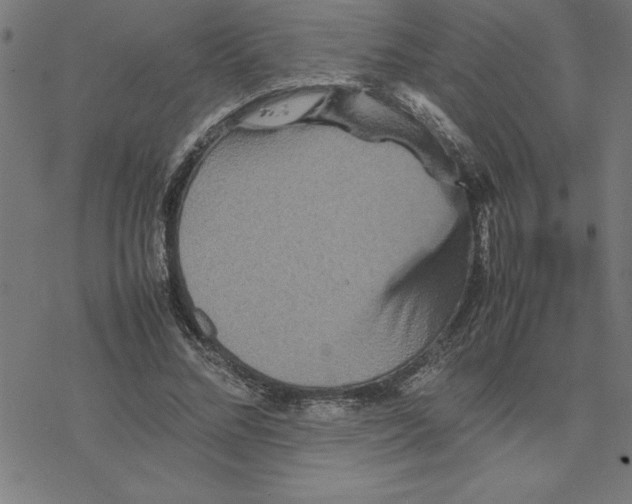 X0000077290684200611101343