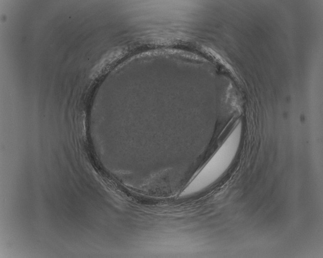 X0000077290685200611101343