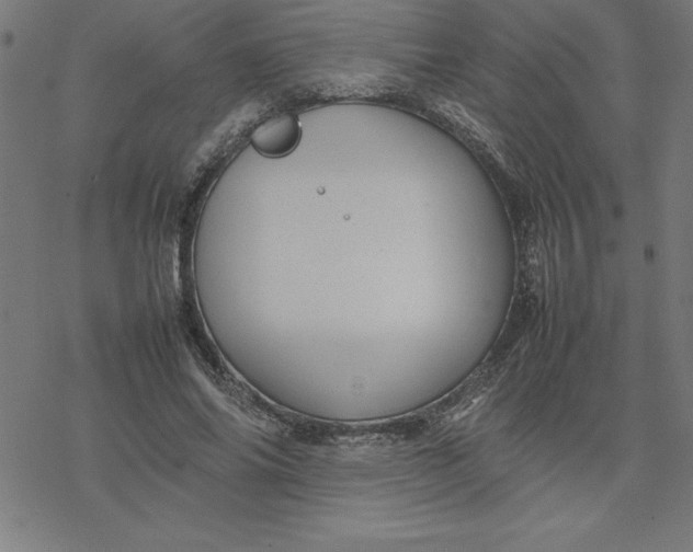 X0000077290686200611101343