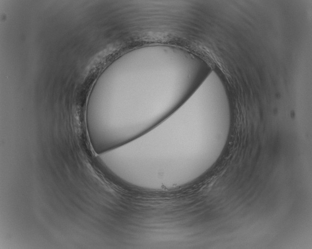 X0000077290688200611101343