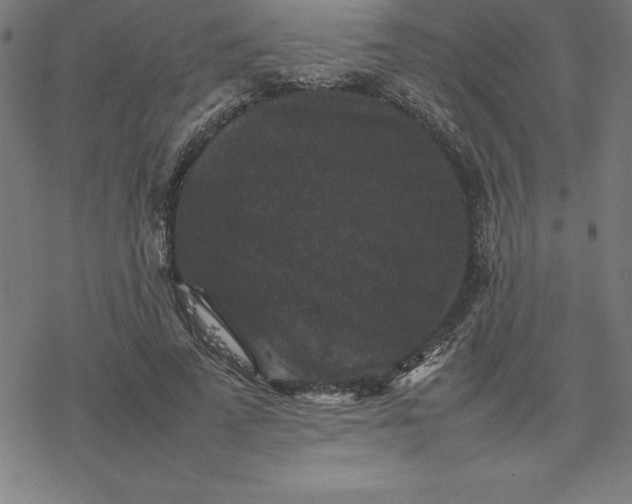 X0000077290689200611101343