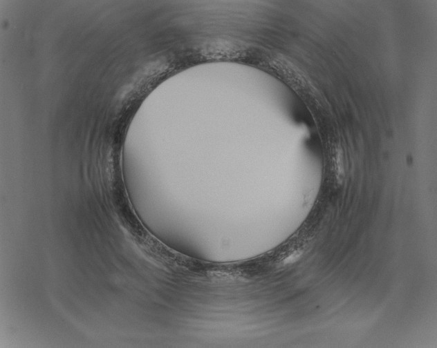 X0000077290690200611101343